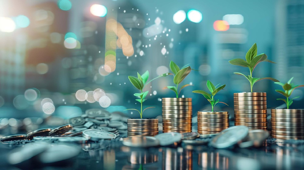 银行业项目管理的主要特征？